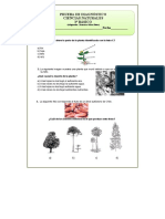 3º Básico Ciencias Naturales Prueba Final