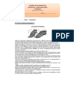 5º Básico Lenguaje y Comunicación Prueba de Diagnóstico