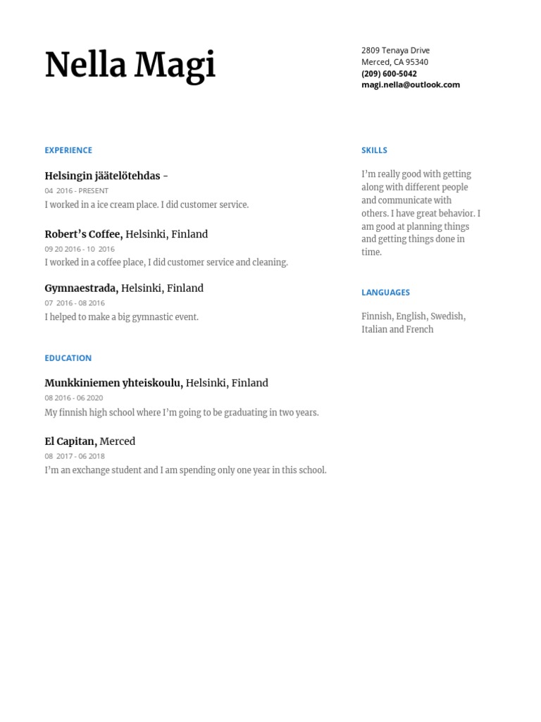 Young Multilingual Job Seeker | PDF