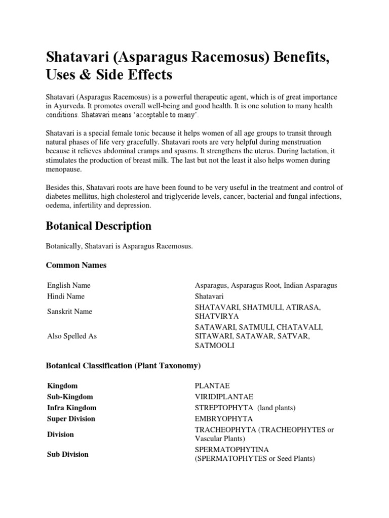 Shatavari (Asparagus Racemosus) Benefits, Uses & Side Effects