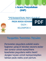 Ppt Sap Perawatan Payudara