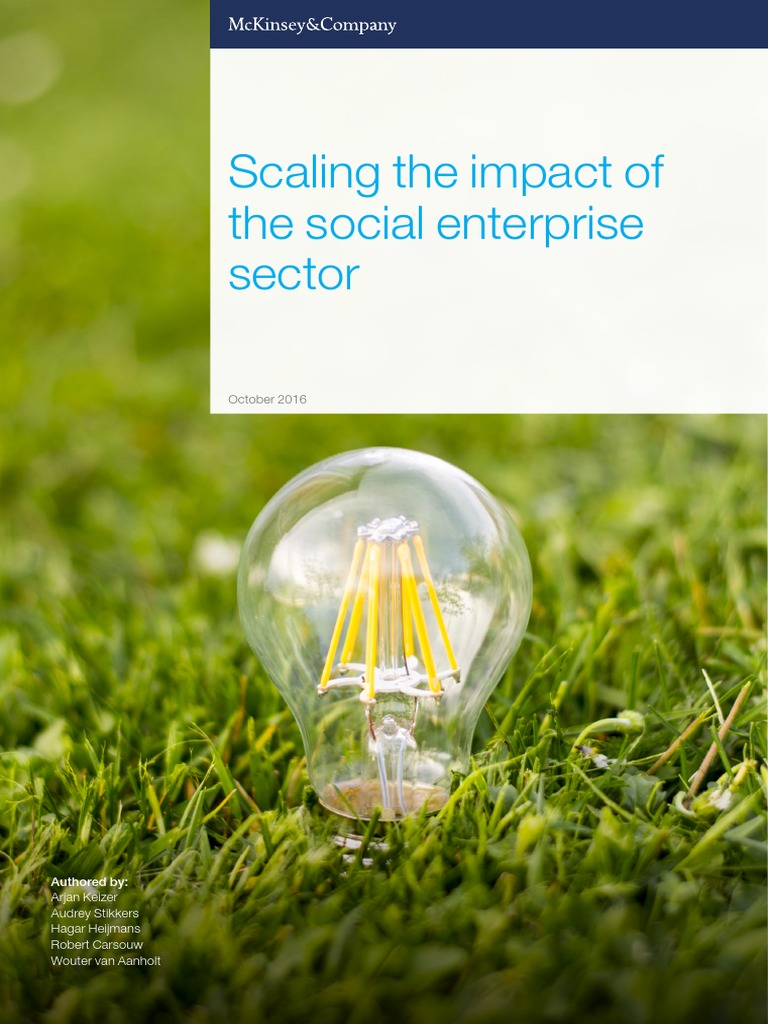 Scaling The Impact Of The Social Enterprise Sector Pdf Social