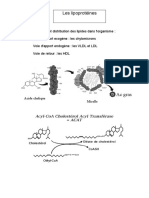 2010 Rouen Dubus CoursBiopchimieAn2P2 PDF