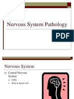 Nervous System Pathology