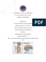 Analisis Microbiologico: ANÁLISIS MICROBIOLÓGICO DEL LIQUIDO CEFALORAQUIDEO