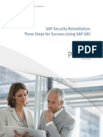 SAP Security Remediation PDF
