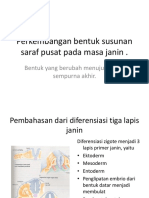 Embriologi Sistem Saraf Pusat