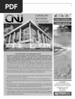 CNJ - 2013 Bas.pdf