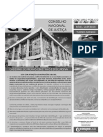 CNJ - 2013 Bas PDF