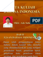 B.indonesia 1