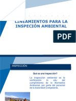 INSPECCION