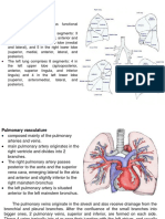 Anatomy and Pathogenesis of the Lungs