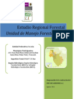 Estudio Regional Forestal 3106