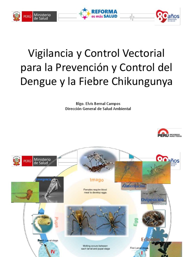 Vigilancia y Control 3-11 | PDF | Aedes aegypti | Muestreo (Estadísticas)