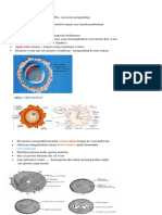 Embryo Log I