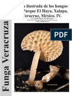 guia Ilustrada de los hongos del parque el Haya_iv Xalapa, Veracruz, Mexico.Funga Veracruzana 160.