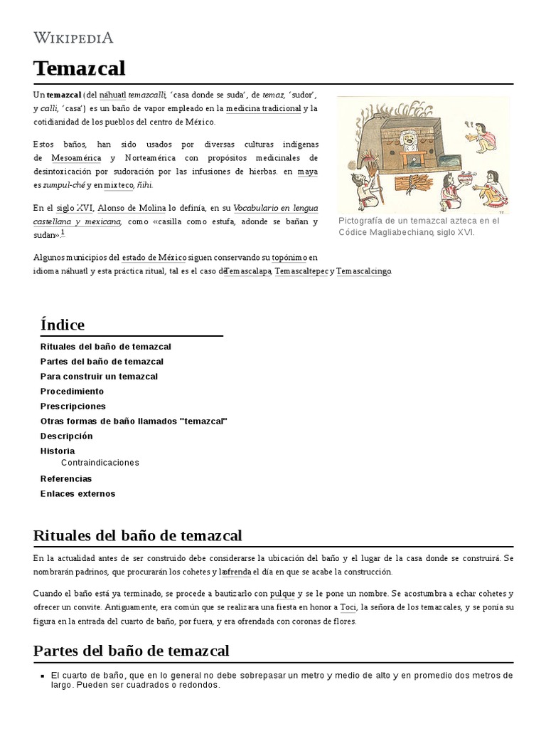 Temazcal | PDF | Bienestar | Medicina