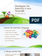 Strategies For Learning A New Language