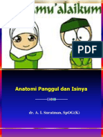 Anatomi Panggul & Isinya