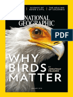 2018-01-01 National Geographic Interactive@Enmagazine