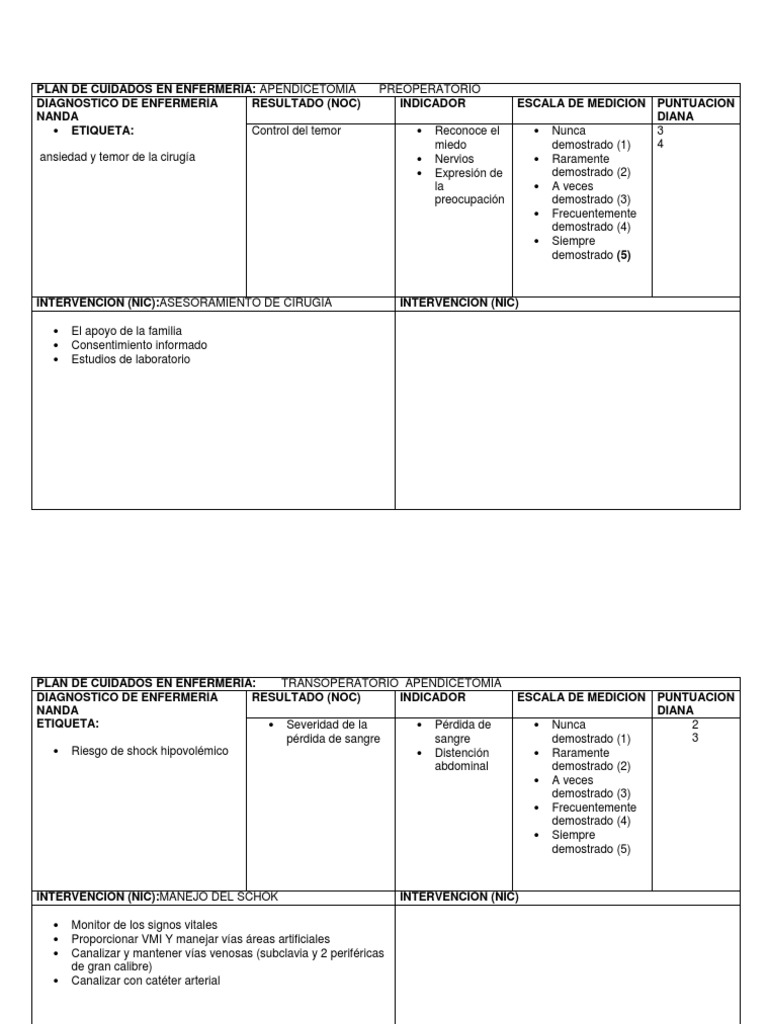PLAN DE CUIDADOS EN ENFERMERÍA.docx Ciencias de la Salud Bienestar