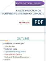 Effect of Calcite