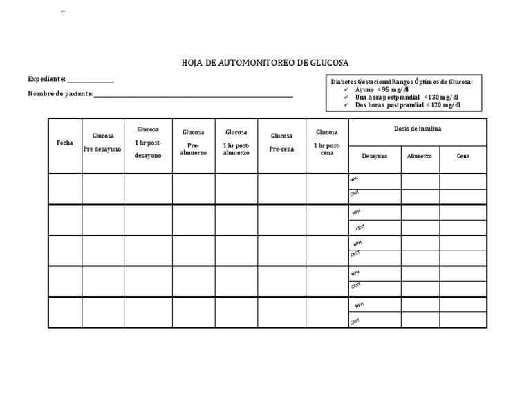 Hoja de Automonitoreo de Glucosa