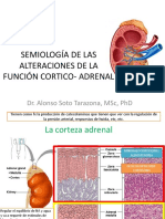 Alteraciones Adrenal 2016l