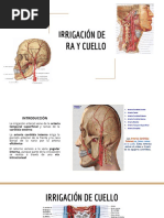 Irrigación de Cara y Cuello