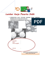 6 LKPD 1 Peredaran Darah