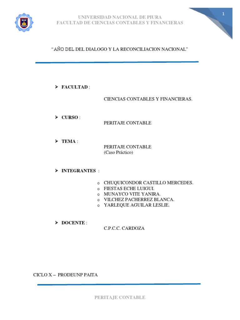 peritaje-contable-pdf-testigo-experto-contador