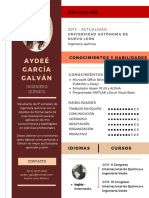 Curriculum Vitae.pdf