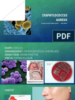 Staphylococcus Aureus Presentación