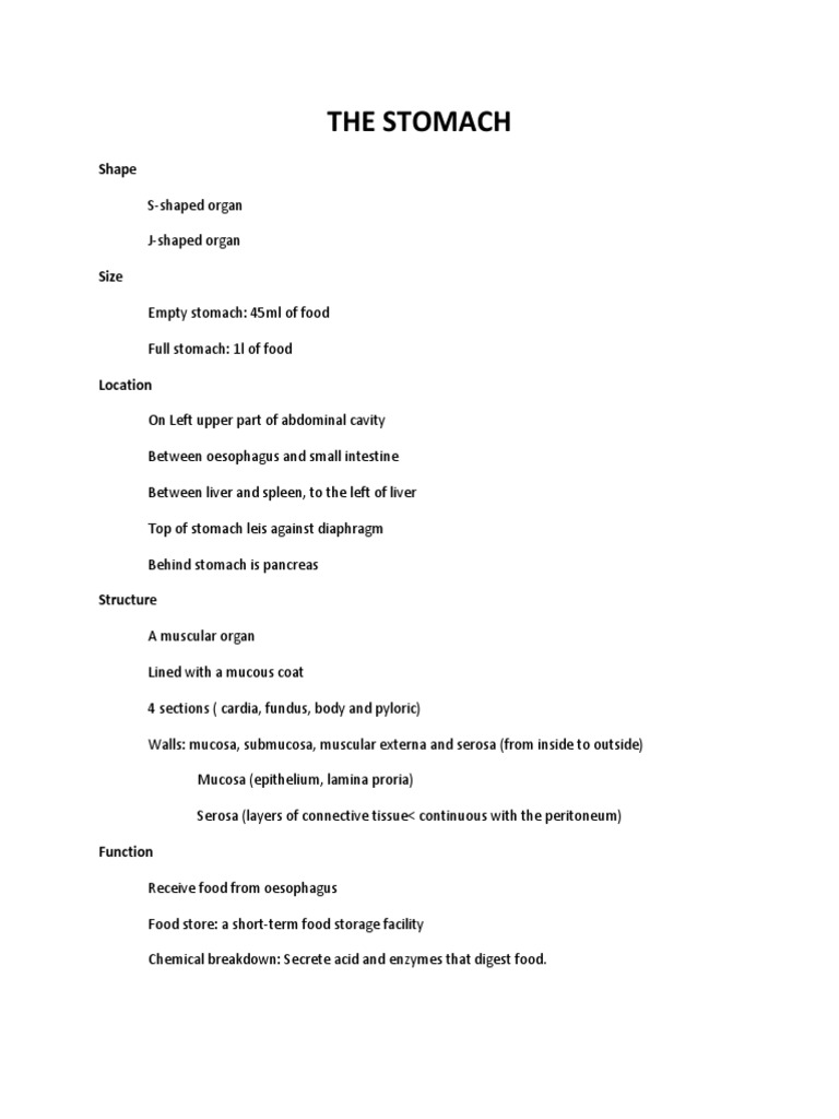 Write Stomach | PDF