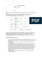 Codones de ADN y ARN