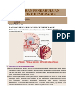 Laporan Pendahuluan Stroke Hemoragik