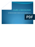  Curs Introductiv Micologie