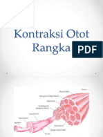 Fisio Kontraksi Otot Rangka