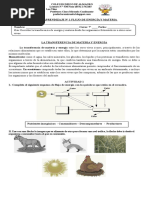 Guía de Aprendizaje #1 Flujo de Energía y Materia