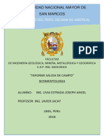 Sedi Informe