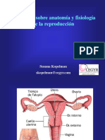 Anatomia y Fisiologia de La Reproduccion