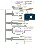 Schema Afectivitatea