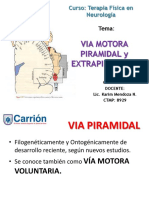 Via Motora Piramidal y Extrapiramidal PDF