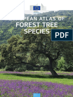 European Atlas of Forest Tree Species