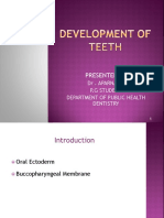 1. Development of Teeth