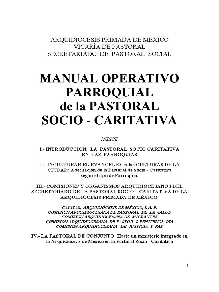 Manual Operativo Parroquial Pastoral Social | PDF | Iglesia Católica ...