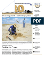 NotasOro107 PDF