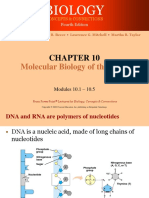 DNA Structure Replication