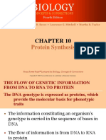 Protein Synthesis 06-07