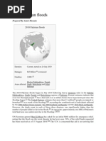 Download 2010 Pakistan Floods Report-By Aamir Hussain by Aamir Hussain SN37037209 doc pdf